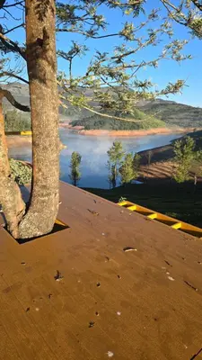 a tree sitting next to a body of water at Silver lake nature escape in Ooty