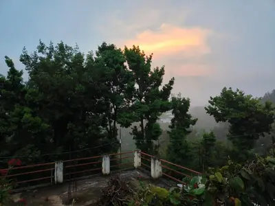 a view of a hill with trees and a fence at Sparrow valley in Coonoor