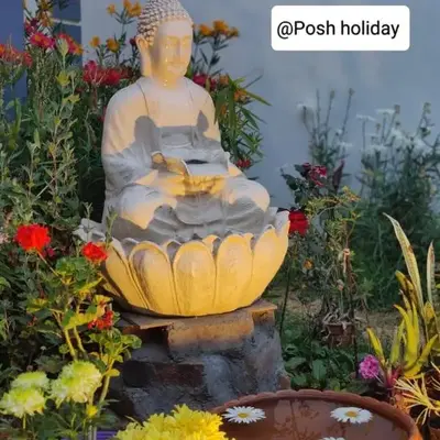Posh Holidays