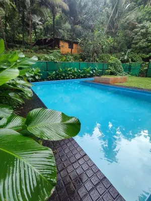 a pool with a palm tree in front of a house at Ponkunnu Farmstay and Resorts - Emerald - The Tree House - Ground Floor in Bālūssheri