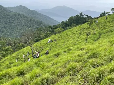 a group of people walking up a grassy hill at Ponkunnu Farmstay and Resorts - Emerald - The Tree House - Ground Floor in Bālūssheri