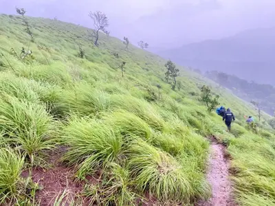 a group of people walking down a grassy hill at Ponkunnu Farmstay and Resorts - Emerald - The Tree House - Ground Floor in Bālūssheri