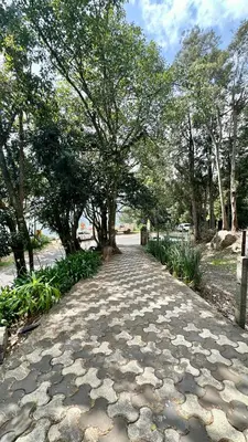 a stone path in a park with trees at Cloud Crest Homestay in Ooty