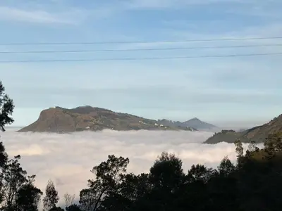 a view of a foggy valley with trees and mountains at Kerith in Kodaikānāl