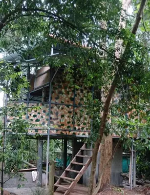 a building with a staircase in the middle of trees at Tapovan Fruitopia in Sultan Bathery