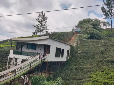 a house on a hill in a tea plantation at Bison valley in Ooty