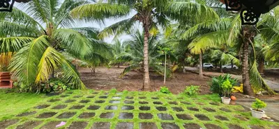 a view of a garden with palm trees at LBS Farms in Coimbatore