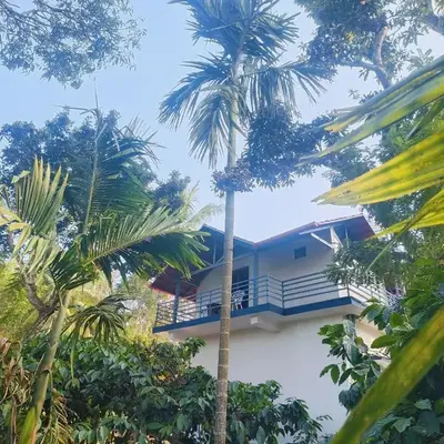 Golden Valley Abode