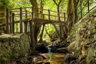 a wooden bridge over a stream in a forest at Lakkidi village resort wayanad in Vythiri