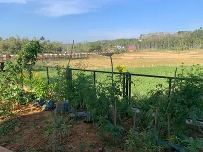 a garden with a fence and a field at Elysian in Mananthavady