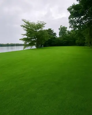 a large field of green grass next to a lake at Some where Else Musiris Heritage in Parūr