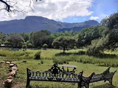 a bench in a field with mountains in the background at Jungle Hut Resort in Masinagudi