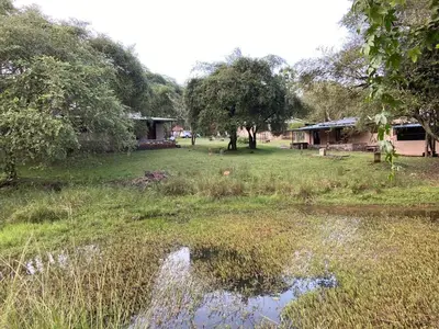a field with houses and a pond in the grass at Jungle Hut Resort in Masinagudi