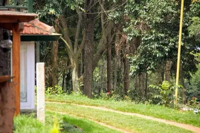 a forest of trees with a house and a path at Atwood Chalet in Coonoor