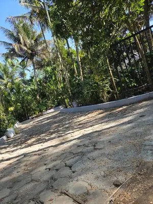 a fence and trees on a dirt road at Pearl Farmstay in Kushālnagar