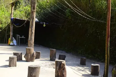 a group of tree stumps in the middle of a park at Brigmonsiya in Vattavada