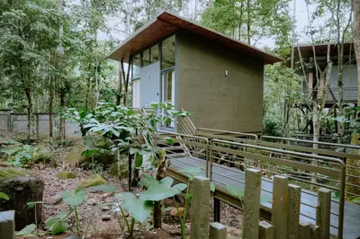 a small house in the middle of a forest at RockS VillA in Meppādi