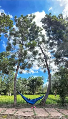 a blue hammock between two trees in a field at Phalam Homestay in Kushālnagar