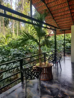 a porch with two chairs and a table and a palm tree at Golden Valley Abode in Siddapur