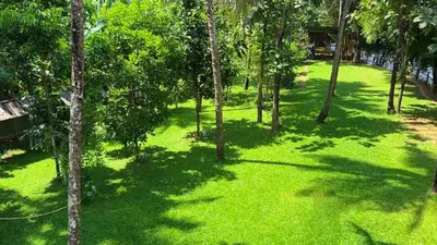 an aerial view of a green yard with trees at The Cove, ' the silent Symphony ' in Parassinikadavu