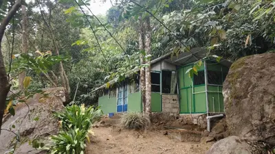 a green house in the middle of a forest at Hornbill Paradise, Munnar in Viripara