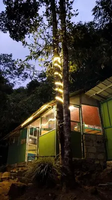 a building with lights on the side of a tree at Hornbill Paradise, Munnar in Viripara