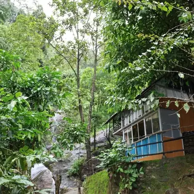 Hornbill Paradise