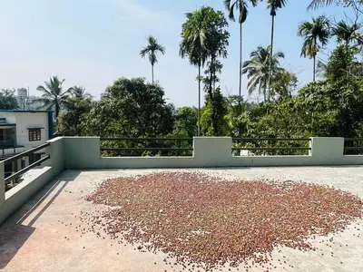 a pile of gravel on the roof of a house at AGNEYA Holiday Home in Wayanad