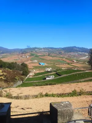 a view of a vineyard from the top of a hill at Hilarious Garden Ooty in Ooty