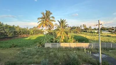 a field with palm trees and a fence at House of KRM - Nilgiris Outlook in Kāramadai