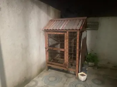 a bird cage in the corner of a building at PK Homestay in Coimbatore