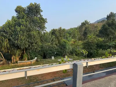 a view of a garden from a bridge at Spice garden farm stay in Kodali
