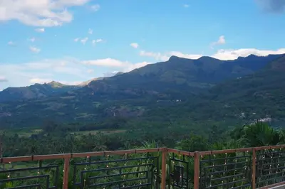 a view of auliculiculiculiculiculiculiculiculiculiculiculic at Paalm view premium resort in Kanthalloor
