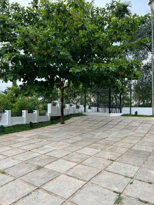 a tree in a park with a stone sidewalk at Petrus Signature Villa in Sultan Bathery