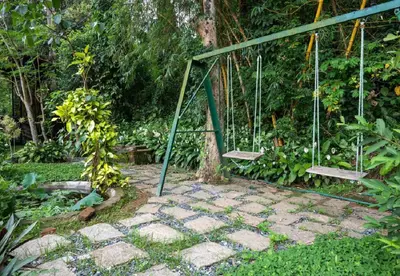 a swing tied to a tree in a garden at Enteveedu Homestay in Panamaram