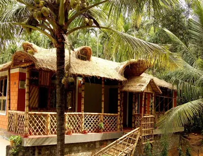 a house with a palm tree in front of it at Enteveedu Homestay in Panamaram