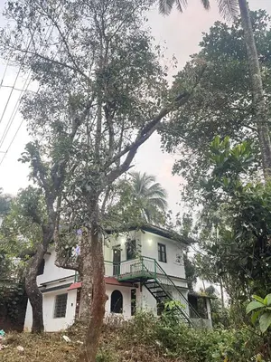 a house on a hill with trees in front of it at VY3 Homes in Vythiri