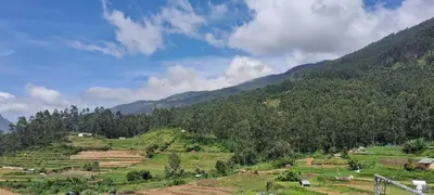 a hillside with fields and trees on a mountain at Enjoy home stay in Vattavada