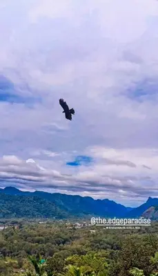 a bird flying in the sky over a city at The EDGE Paradise in Neriyamangalam