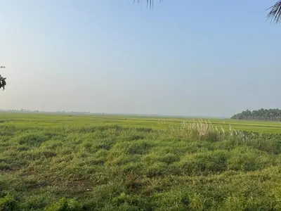 a green field with animals in the distance at Puranattukara- Serene Stay by the Rice Fields in Trichūr