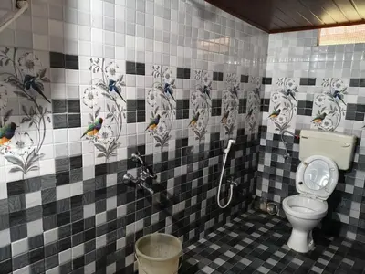 a bathroom with a toilet and birds on the wall at White House Resort in Ooty
