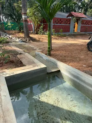 a pool of water with a palm tree in a yard at Dhani Nature Stay in PÄndavapura