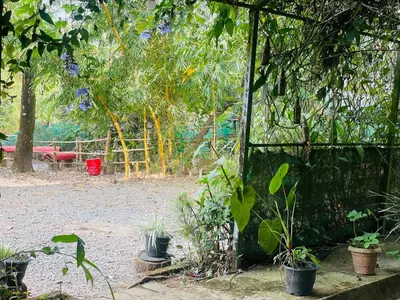 a garden with a fence and some plants and trees at Clement homes in Kalpetta