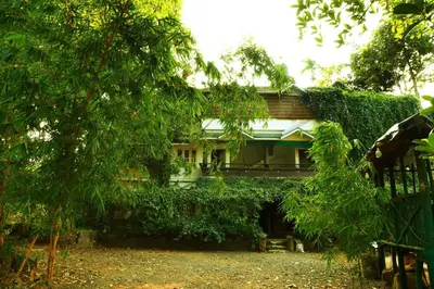 a house obscured by trees in front of a yard at Clement homes in Kalpetta