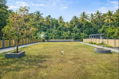 a dog in a yard with a fence and trees at Luxury Garden Villa, Free Breakfast in Guruvayoor in Manattala