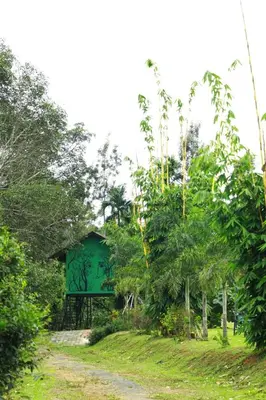 Gallery image of dk village jungle resort in Sultan Bathery