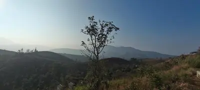 a tree on a hill with mountains in the background at Spirit of the Wild Mountain Retreat in Attappādi