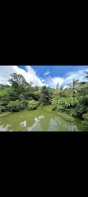 a view of a body of water with trees at The 77 estate stay coorg in Suntikoppa