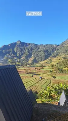 a view of a farm with mountains in the background at Secret valley vattavada in Vattavada