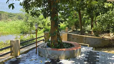 a tree sitting in a pot next to a fence at Happy Home Stay in Palakkad